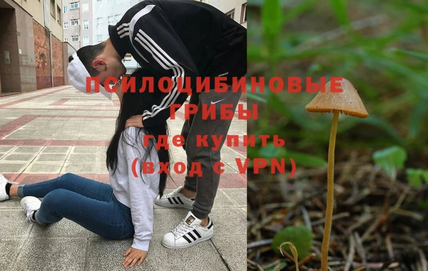 дживик Армянск