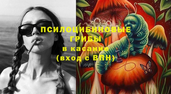 сатива Арсеньев