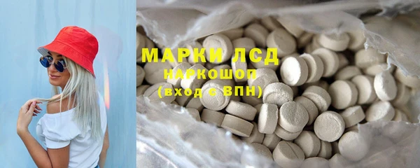 сатива Арсеньев