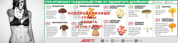 дживик Армянск