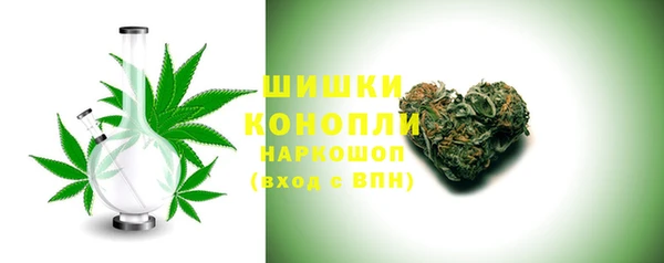 сатива Арсеньев