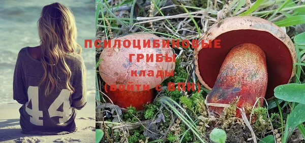 сатива Арсеньев