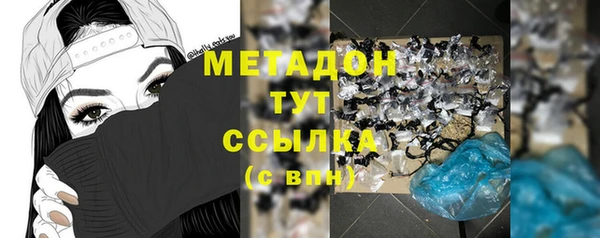 сатива Арсеньев
