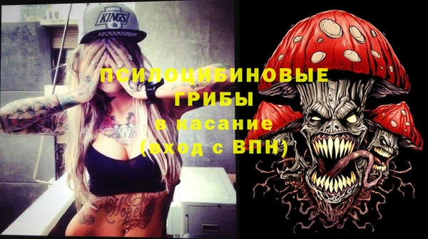 сатива Арсеньев