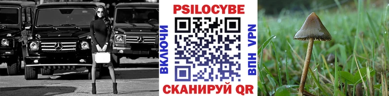 дарнет шоп  Дыгулыбгей  Галлюциногенные грибы ЛСД 